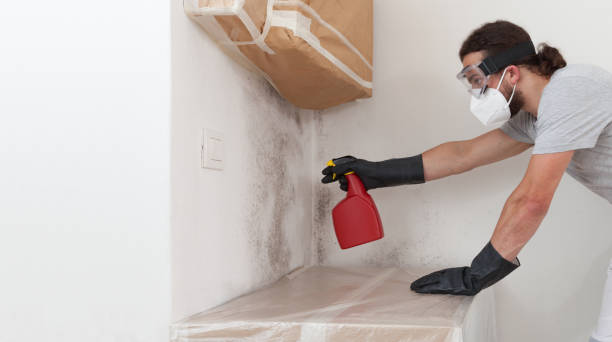Professional Mold Remediation technician working in Levering, MI