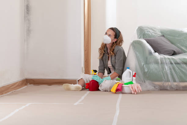 Reliable Mold Remediation contractor in Levering, MI by Cheap Mold Removal